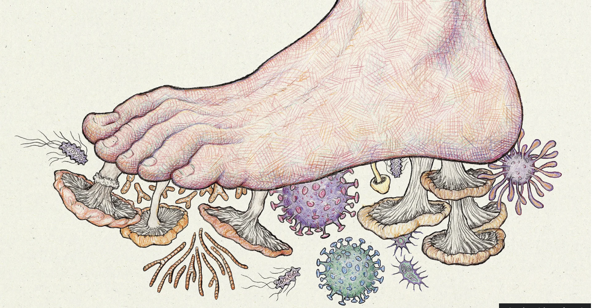 feet