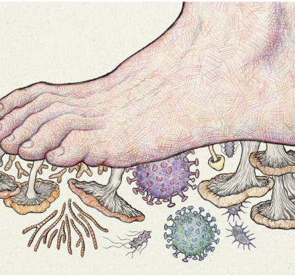 feet
