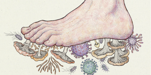 feet